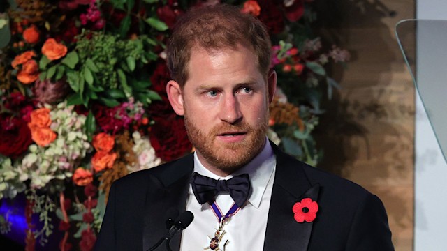 prince harry poppy and suit