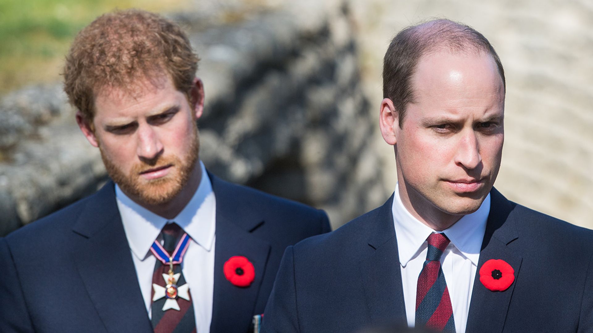 prince harry prince william remembrance day