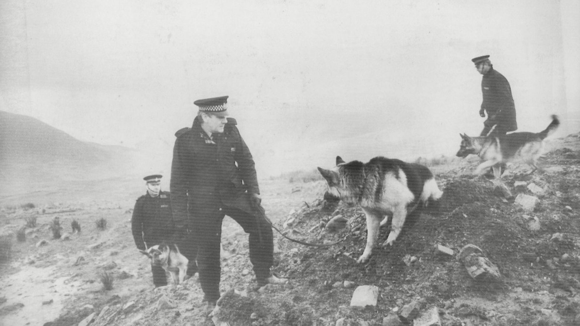 moors poice search dogs