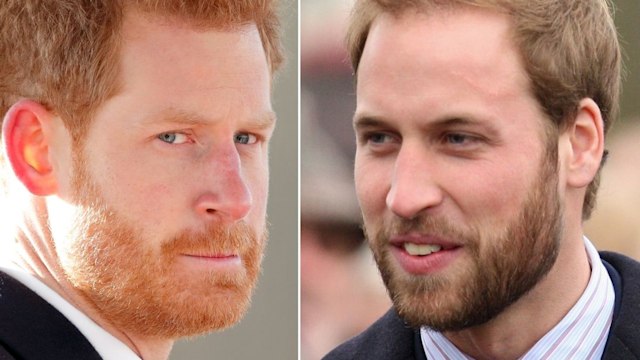 Prince William and Harry with beards