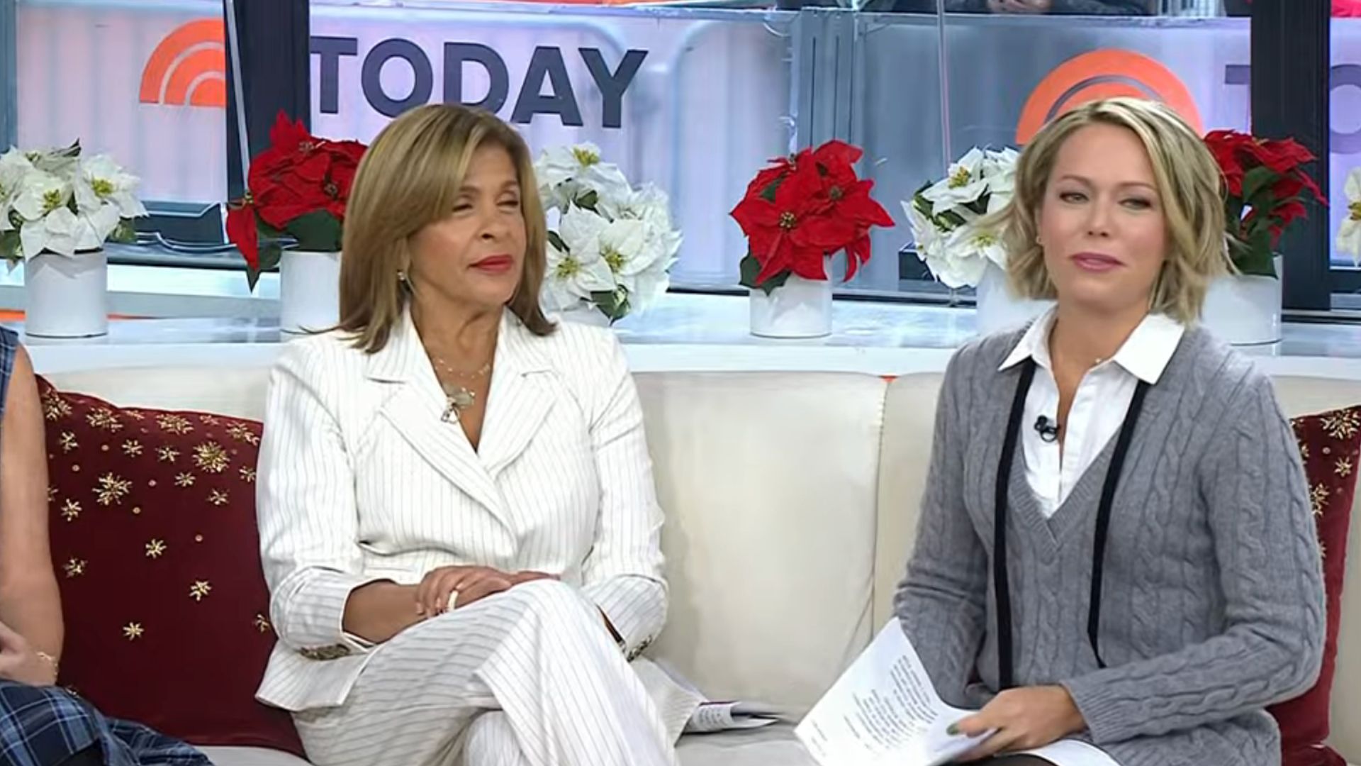 Dylan Dreyer's Today Show co-stars jump to the rescue following live blunder