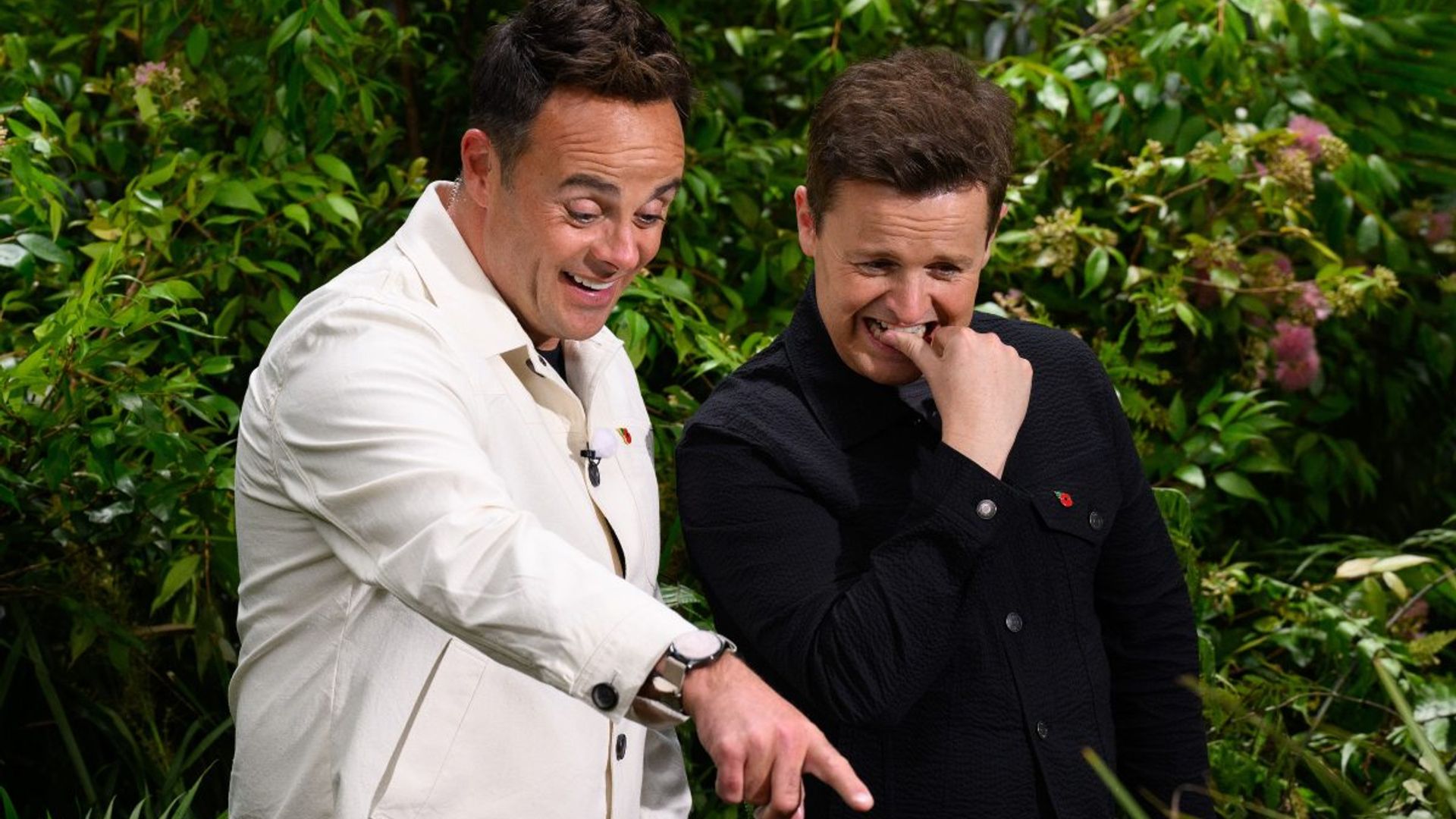 I'm A Celeb contestants leave Ant and Dec stunned as they break show ...