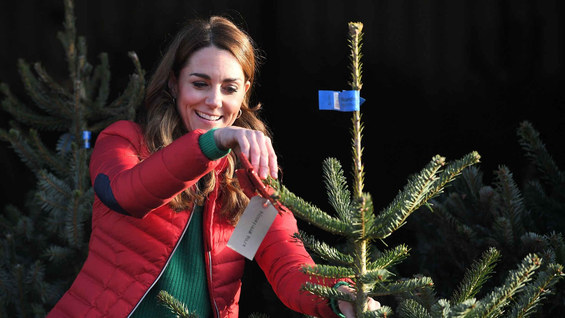 Kate Middleton with a Christmas tree