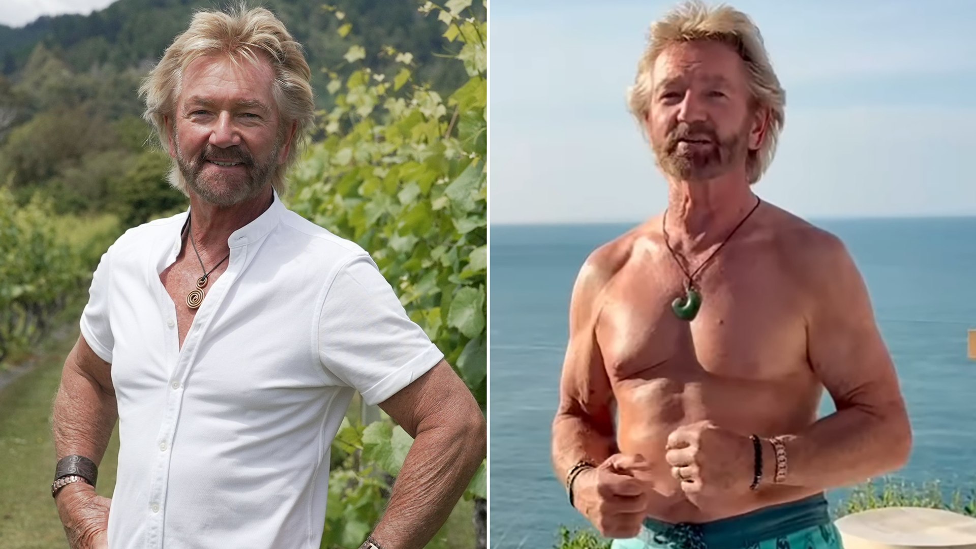 Split image of two photos showing Noel Edmonds in front of vineyard and topless in front of ocean view
