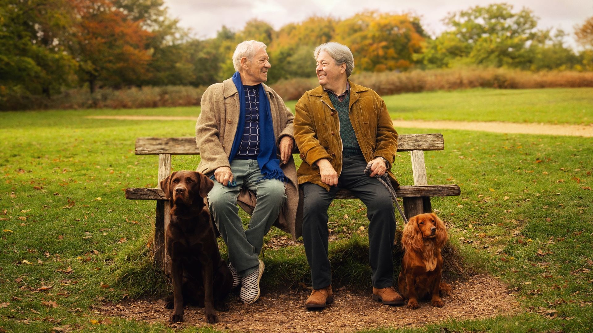 two older men sitting on park bench with dogs at their feet