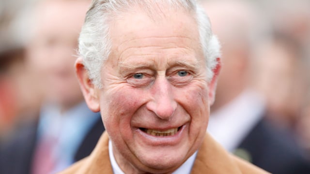 king charles smiling in camel coat