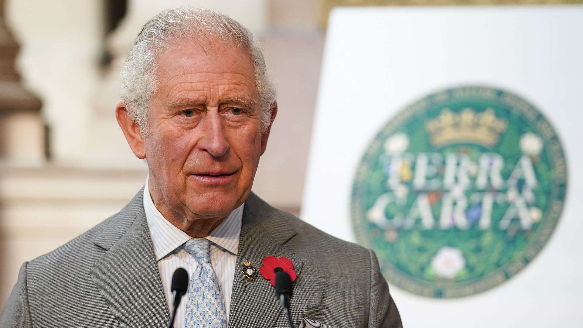 Aka: King Charles wearing a grey suit and patterned blue and white tie with circular green Terra Carta emblem in the background