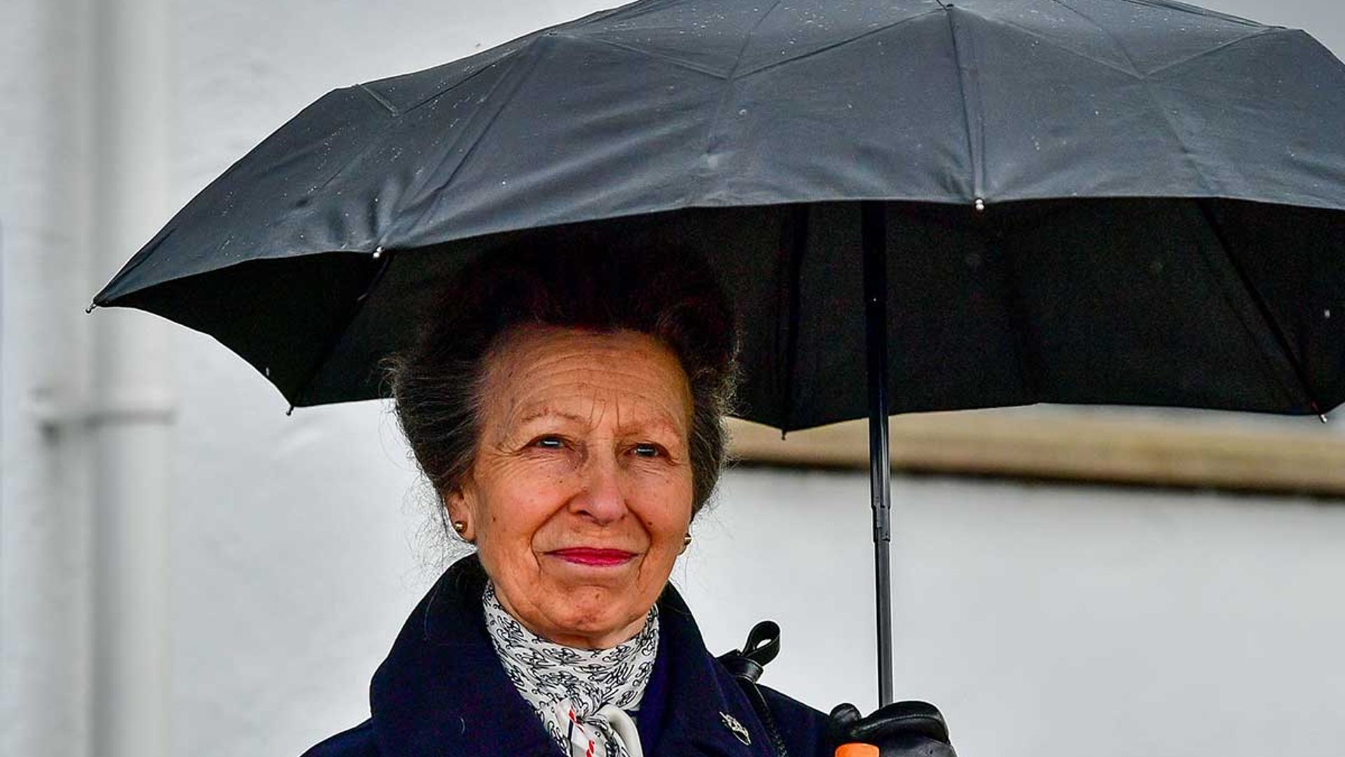 princess anne launches new carers fund