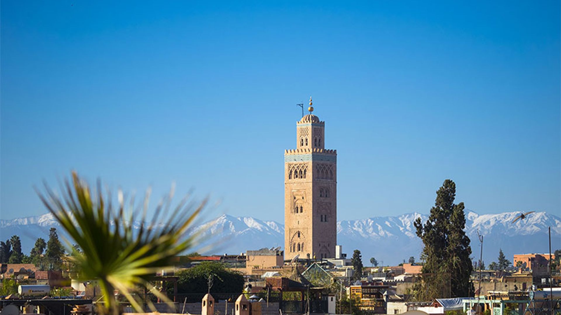 1 Marrakech