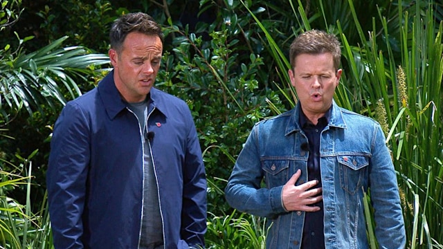 ant and dec im a celeb during trial