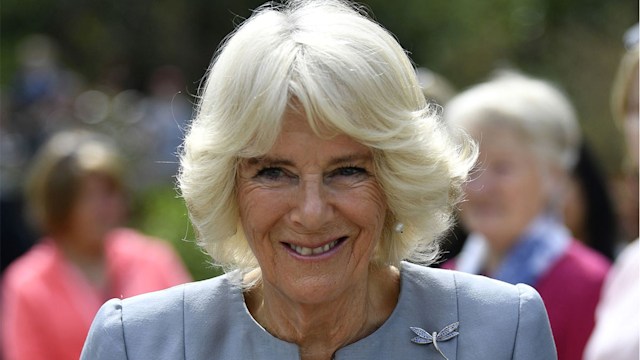 camilla parker bowles dress