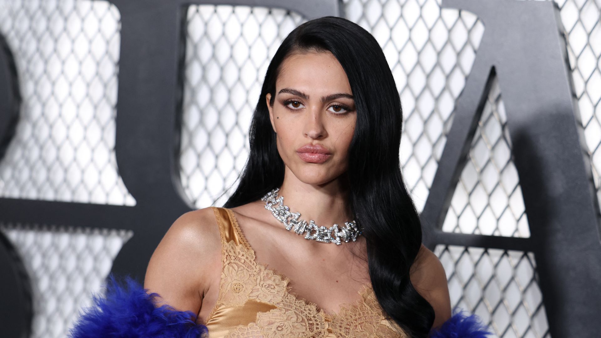 Lisa Rinna's daughter Amelia Gray Hamlin reveals the cosmetic procedures she's had