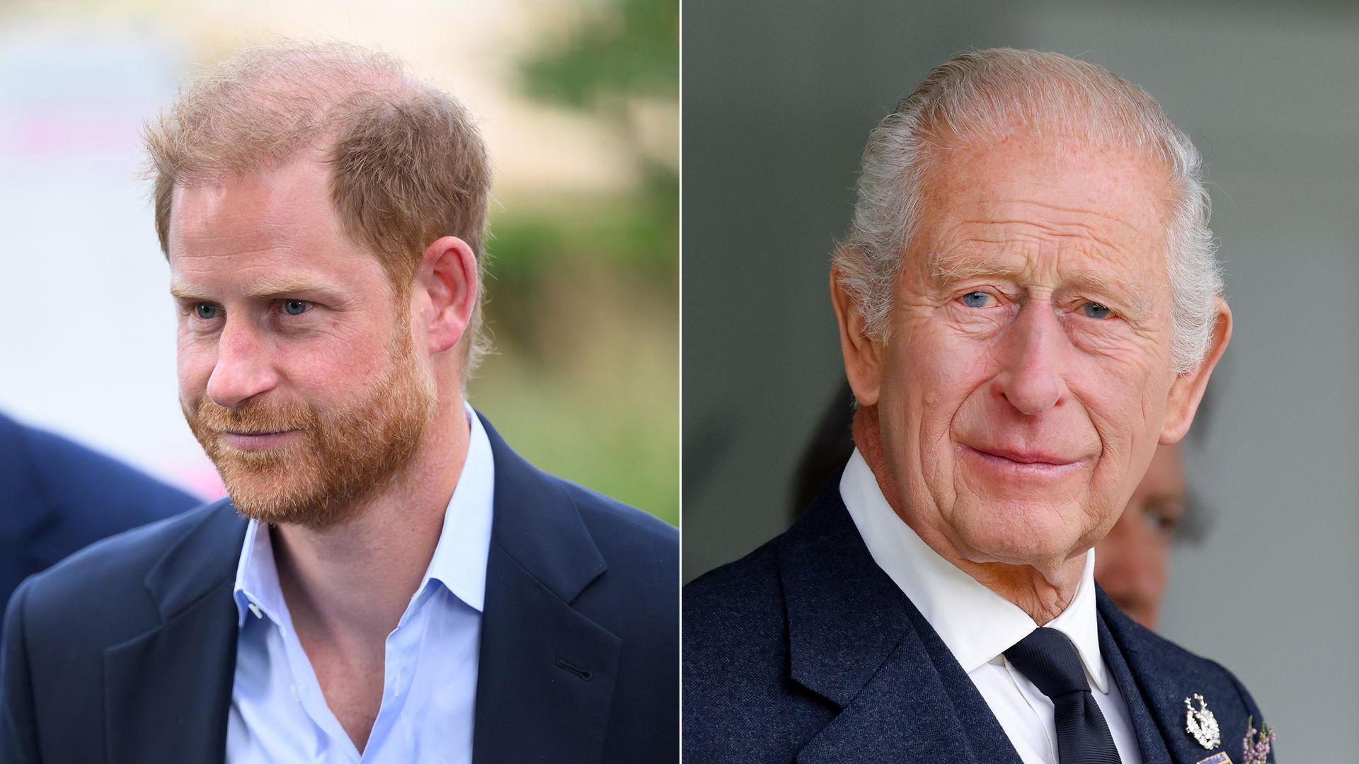 Prince Harry and King Charles