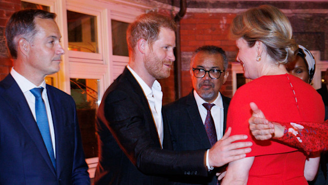 Prince Harry greeting Queen Mathilde