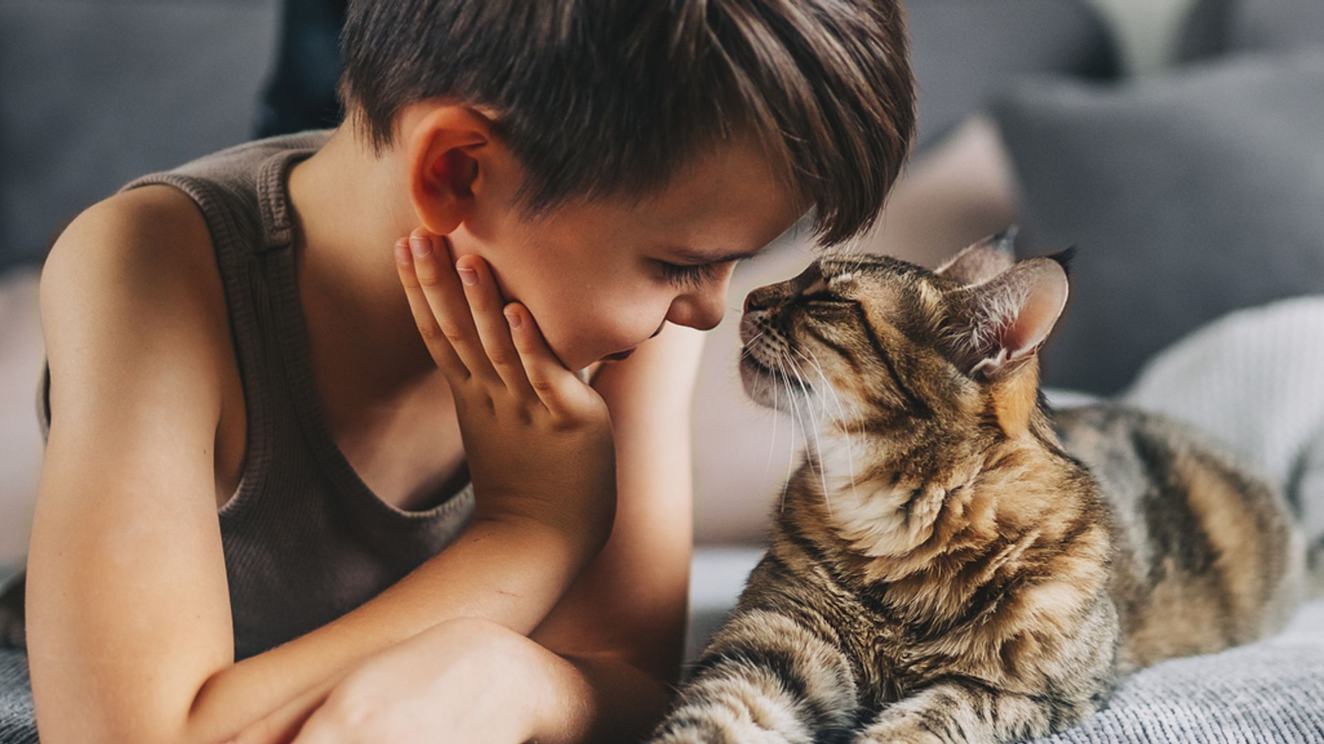8 child-friendly cat breeds that will settle easily into busy families