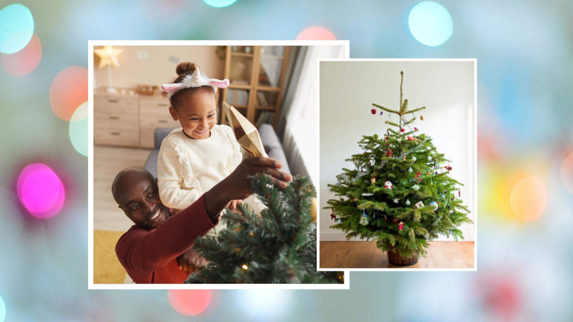 How to keep a Christmas tree alive - Reviewed