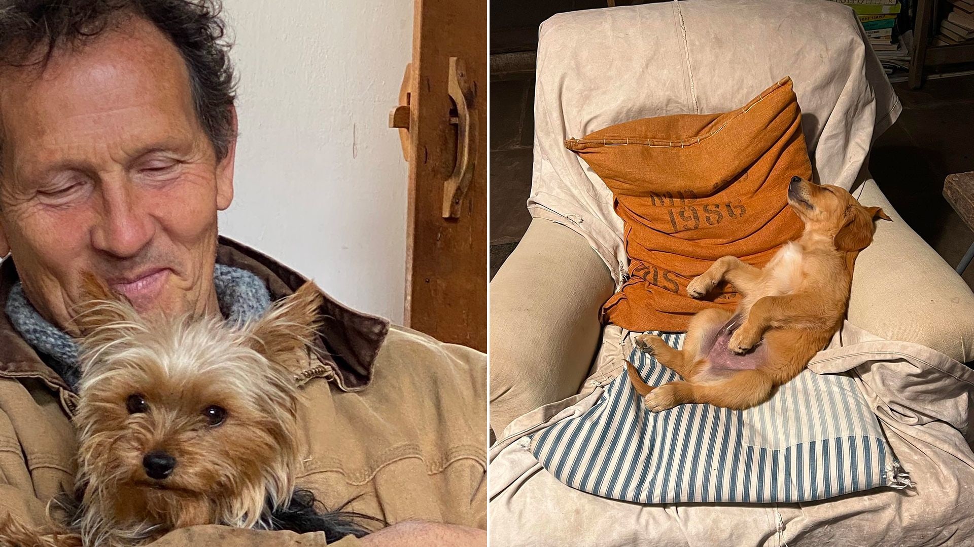 Monty Don at home, and his dog in his living room