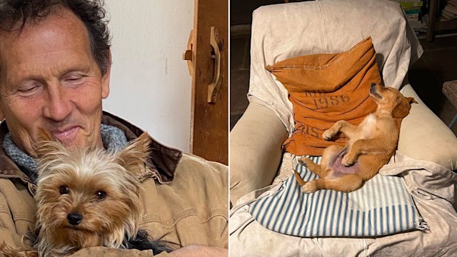 Monty Don at home, and his dog in his living room