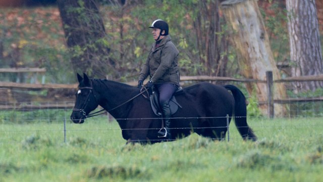 Prince Andrew riding horse in Windsor