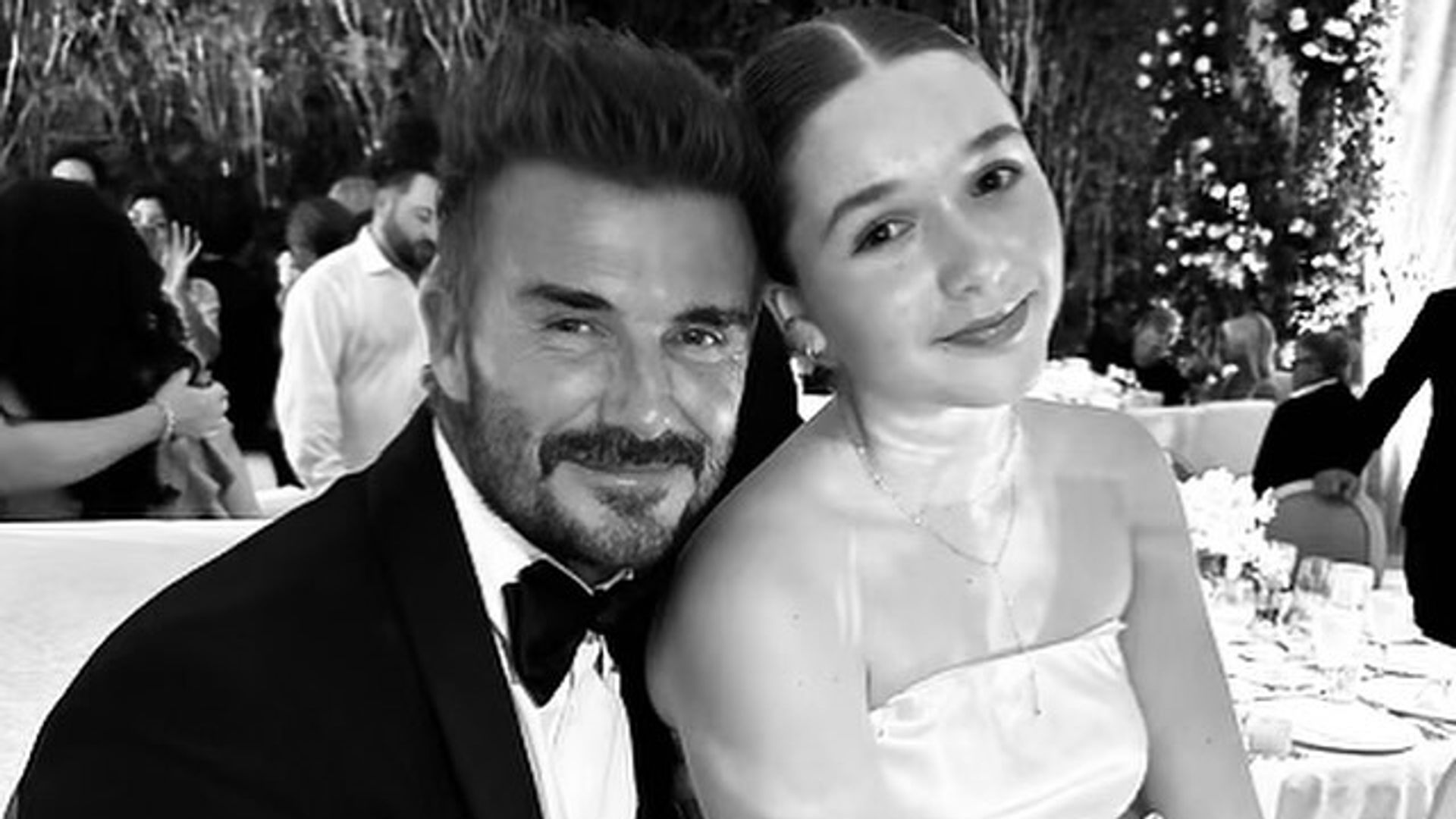 David Beckham and daughter Harper Beckham at wedding 