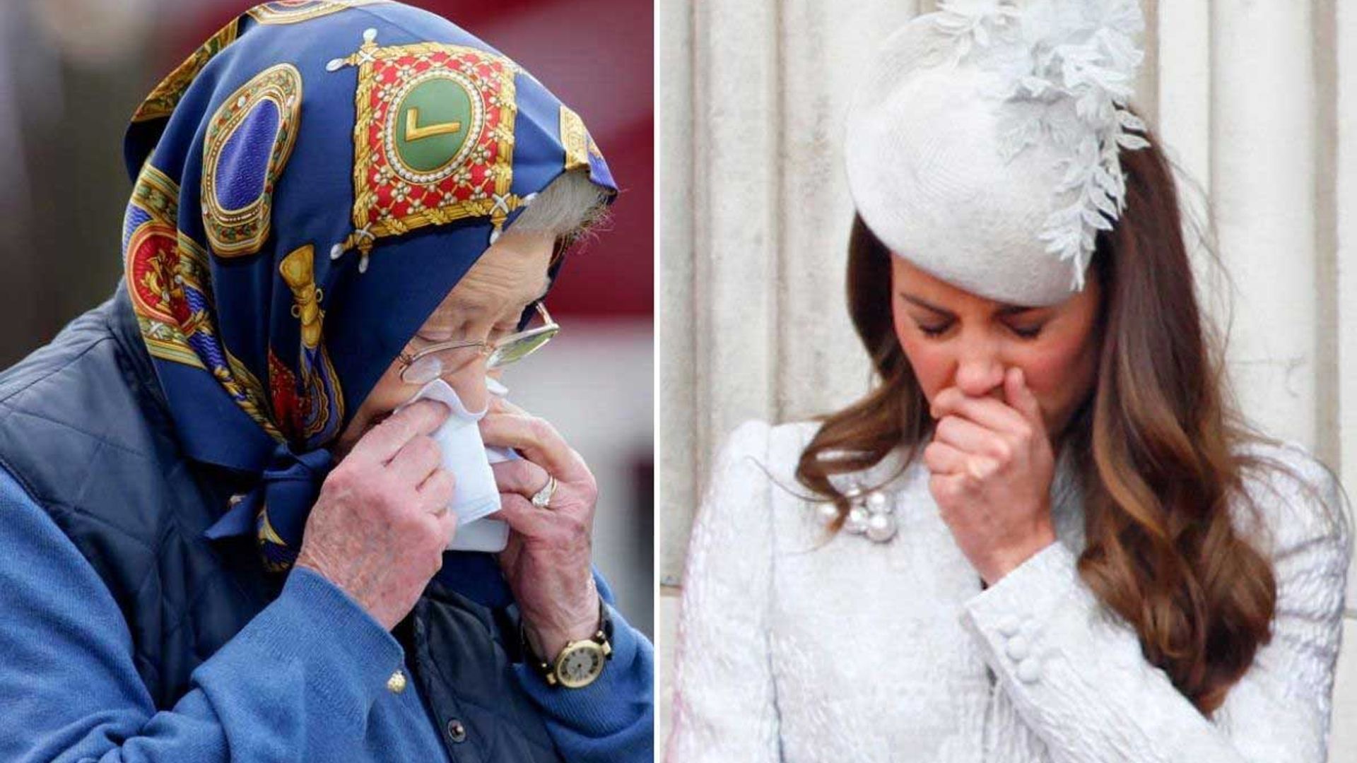 royals sneezing