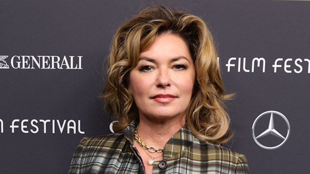 shania twain divorce