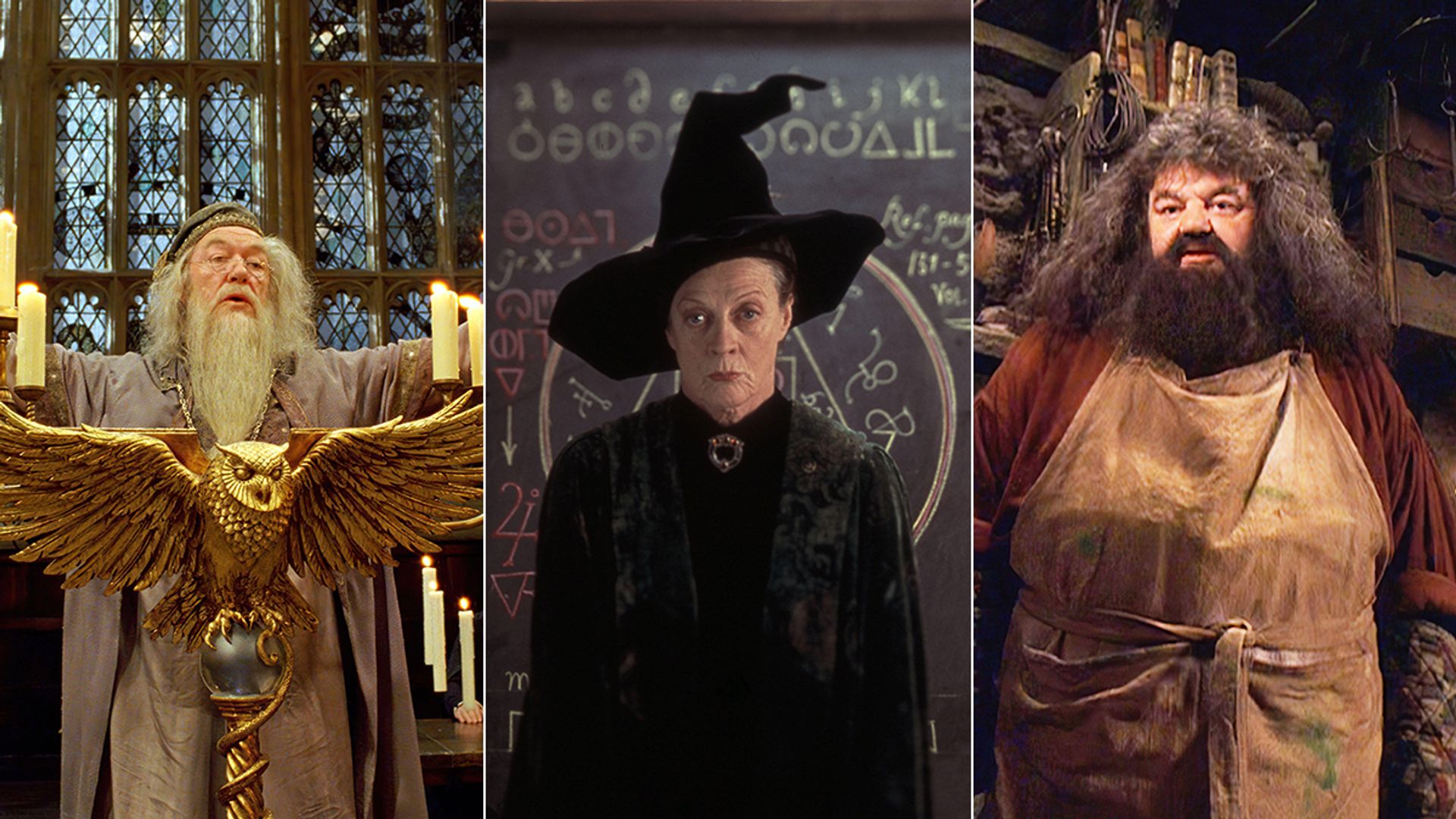 Remembering the Harry Potter stars who have died