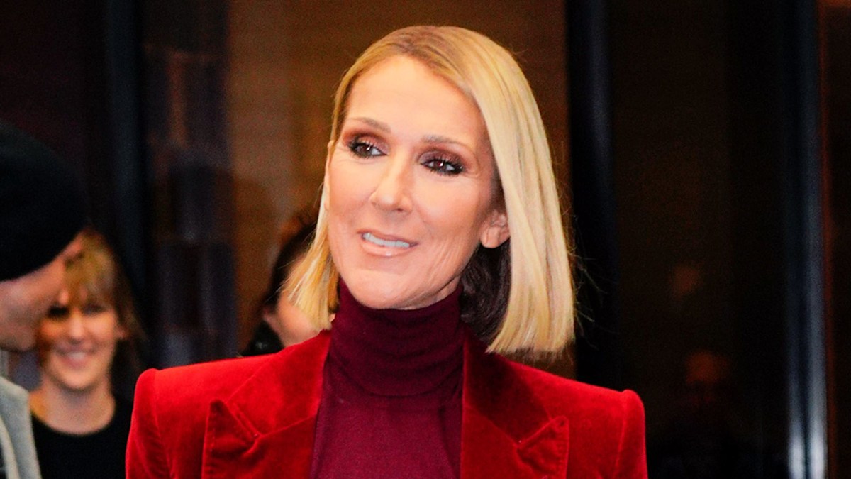 Celine Dion fighting hard for 'dream' comeback, says sister | HELLO!