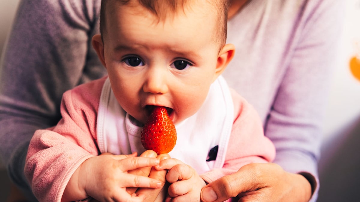 Child nutritionist’s ultimate guide to what to feed 6-month-old babies while weaning