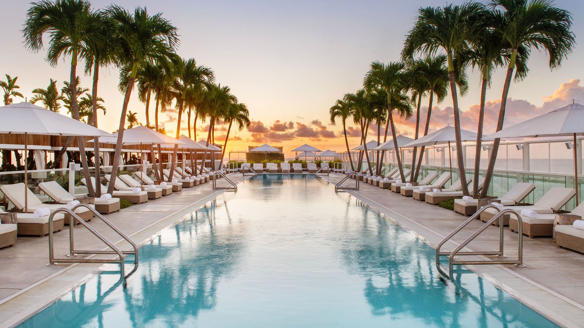 A rooftop pool with lounge chairs, tall palm trees and a sunset sky in the background