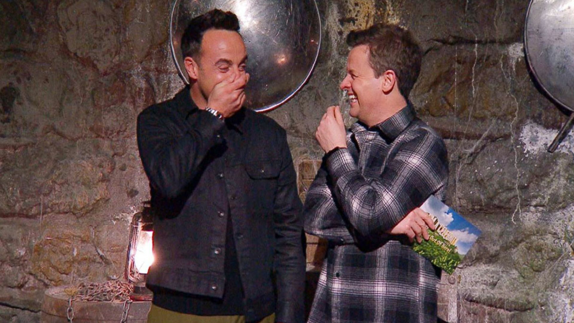 ant and dec im a celebrity