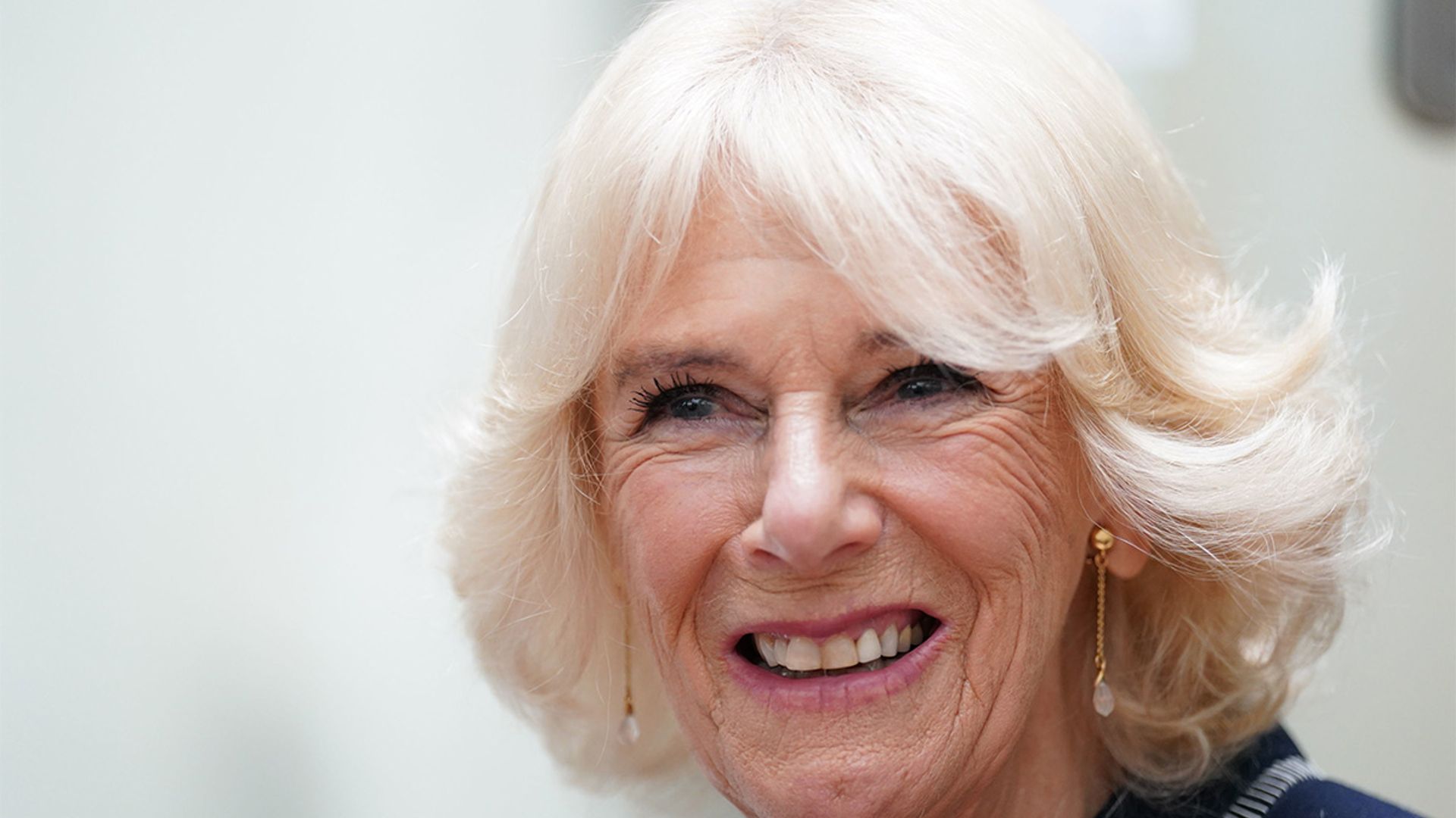 queen consort camilla fans saying same thing
