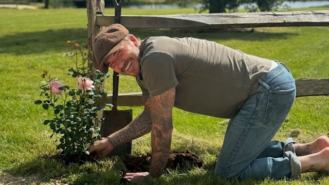 David has become a keen gardener recently