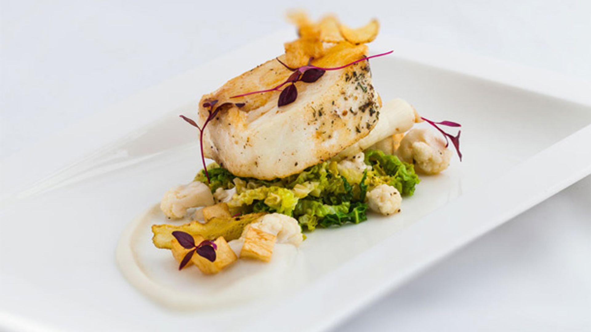 The Paleo Diet: the celebs who love it and why
