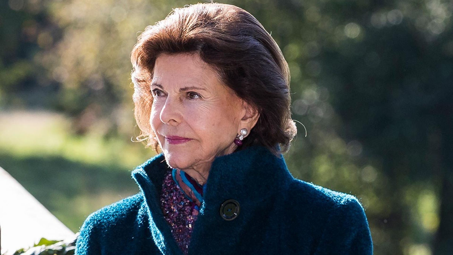 queen silvia injury