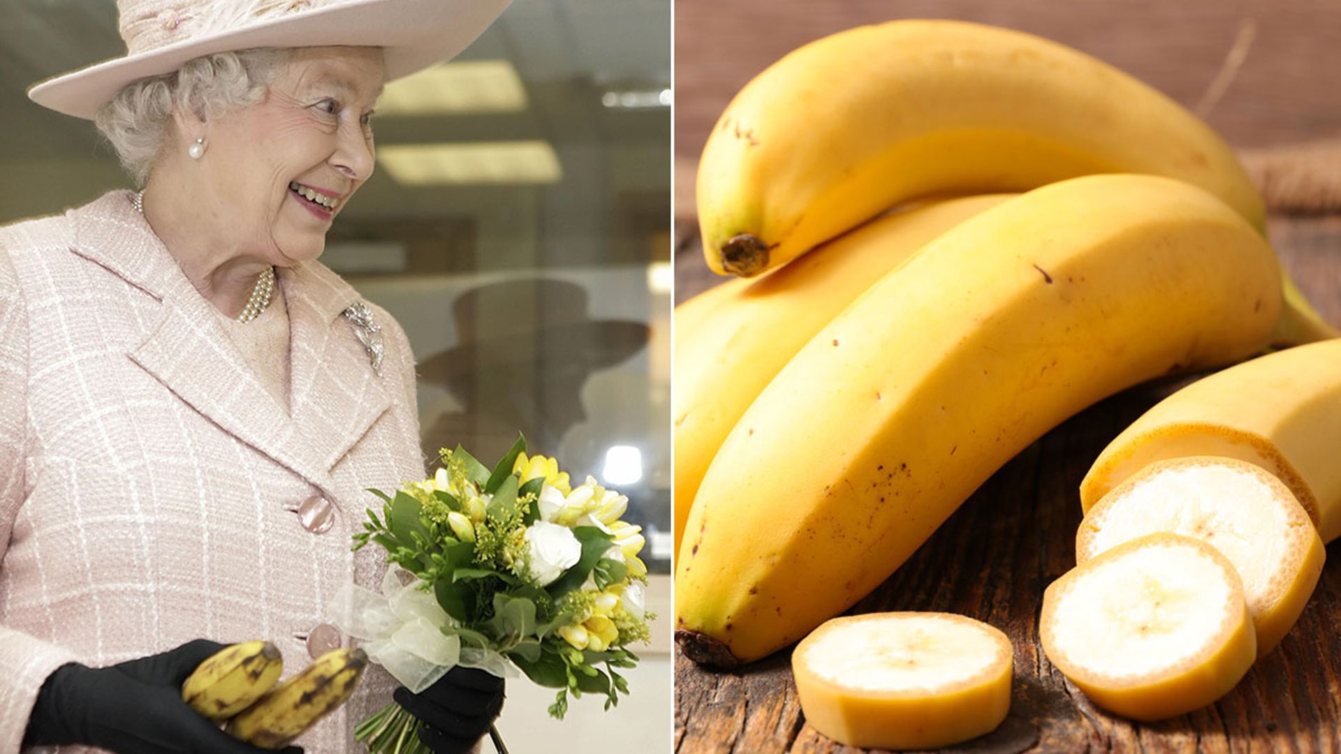 queen bananas fruit habits