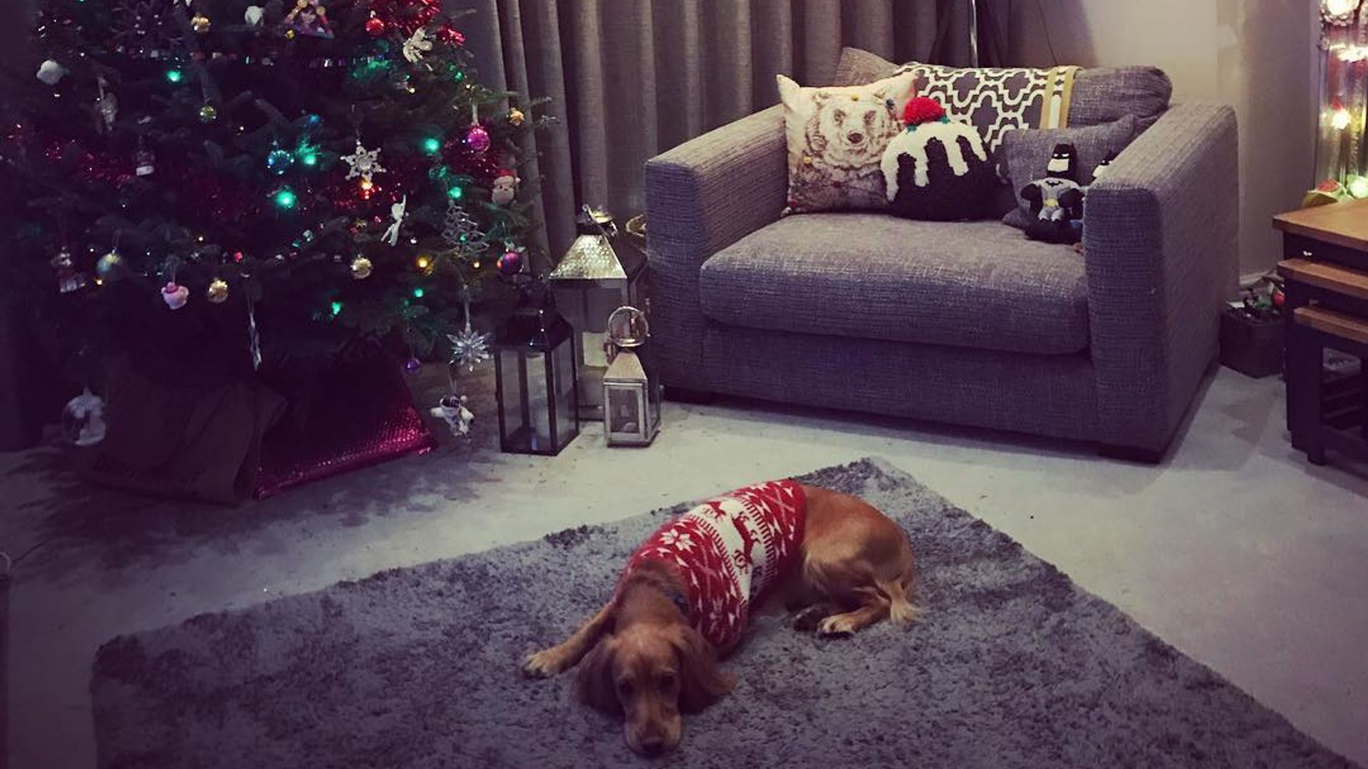Tina O'Brien's Christmas tree in her living room