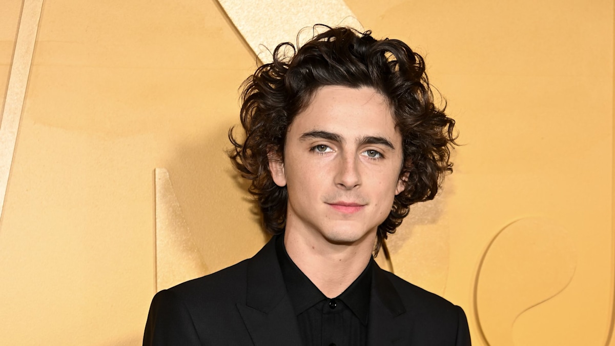 Timothée Chalamet's striking new blonde hair is so Bob Dylan-coded | HELLO!