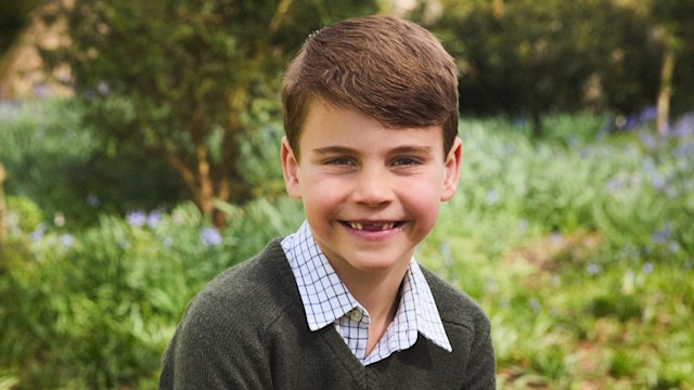 Prince Louis posing for 7th birthday portrait 