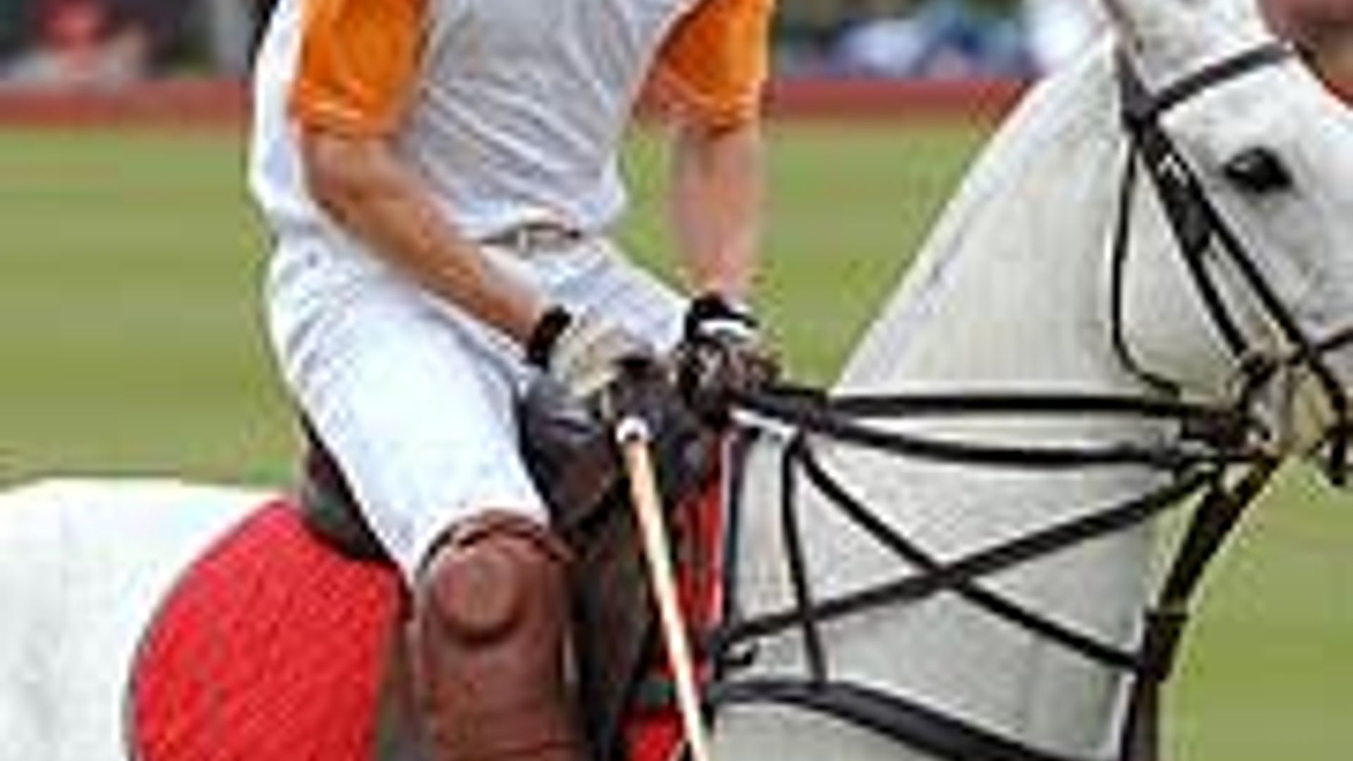 William to quit Army in 18 months to learn ‘art of | HELLO!