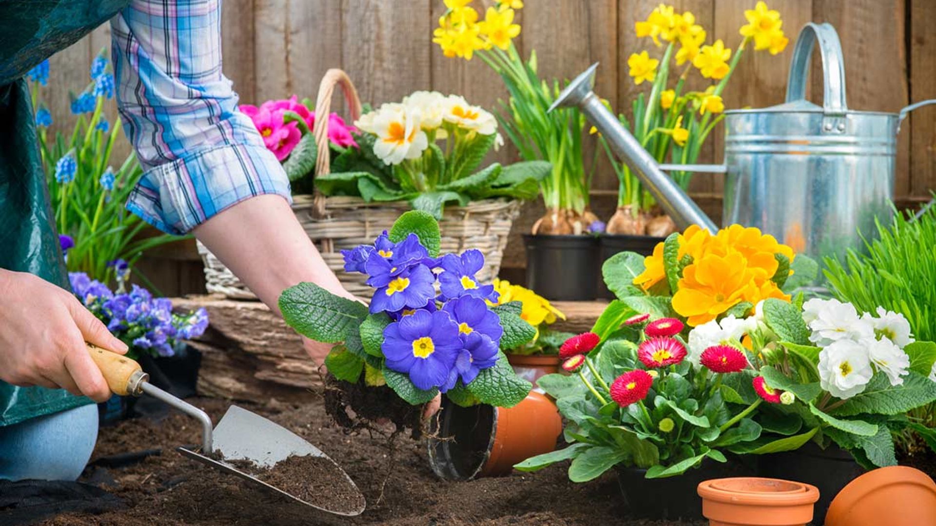 6 astuces virales de jardin qui transformeront votre espace extérieur en quelques minutes | BONJOUR!