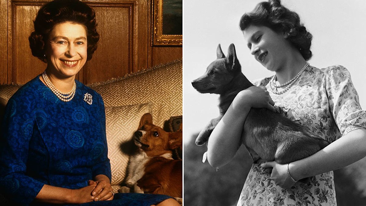 Will Queen's beloved grieve at new home with Prince Andrew? HELLO!