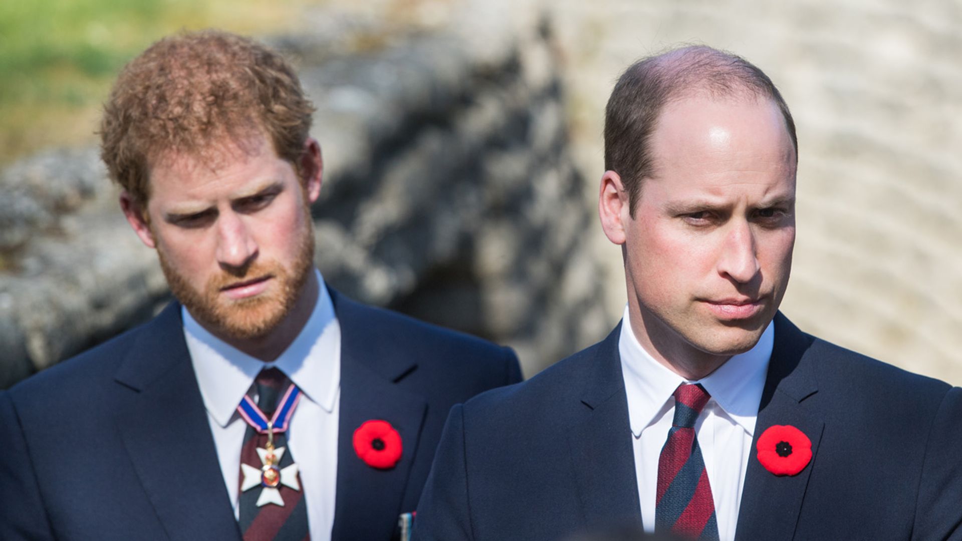 prince harry prince william