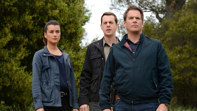 Cote de Pablo, Sean Murray and Michael Weatherly