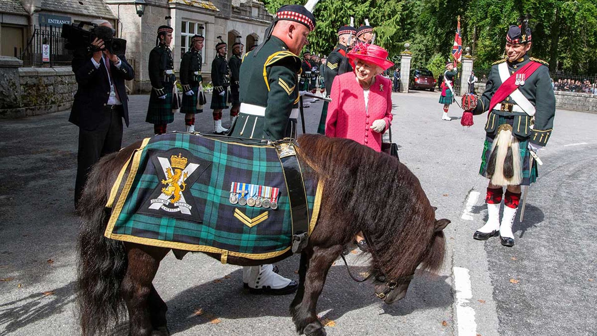queen shetland pony balmoral