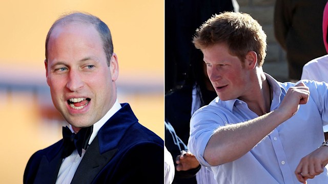 princes william and harry 