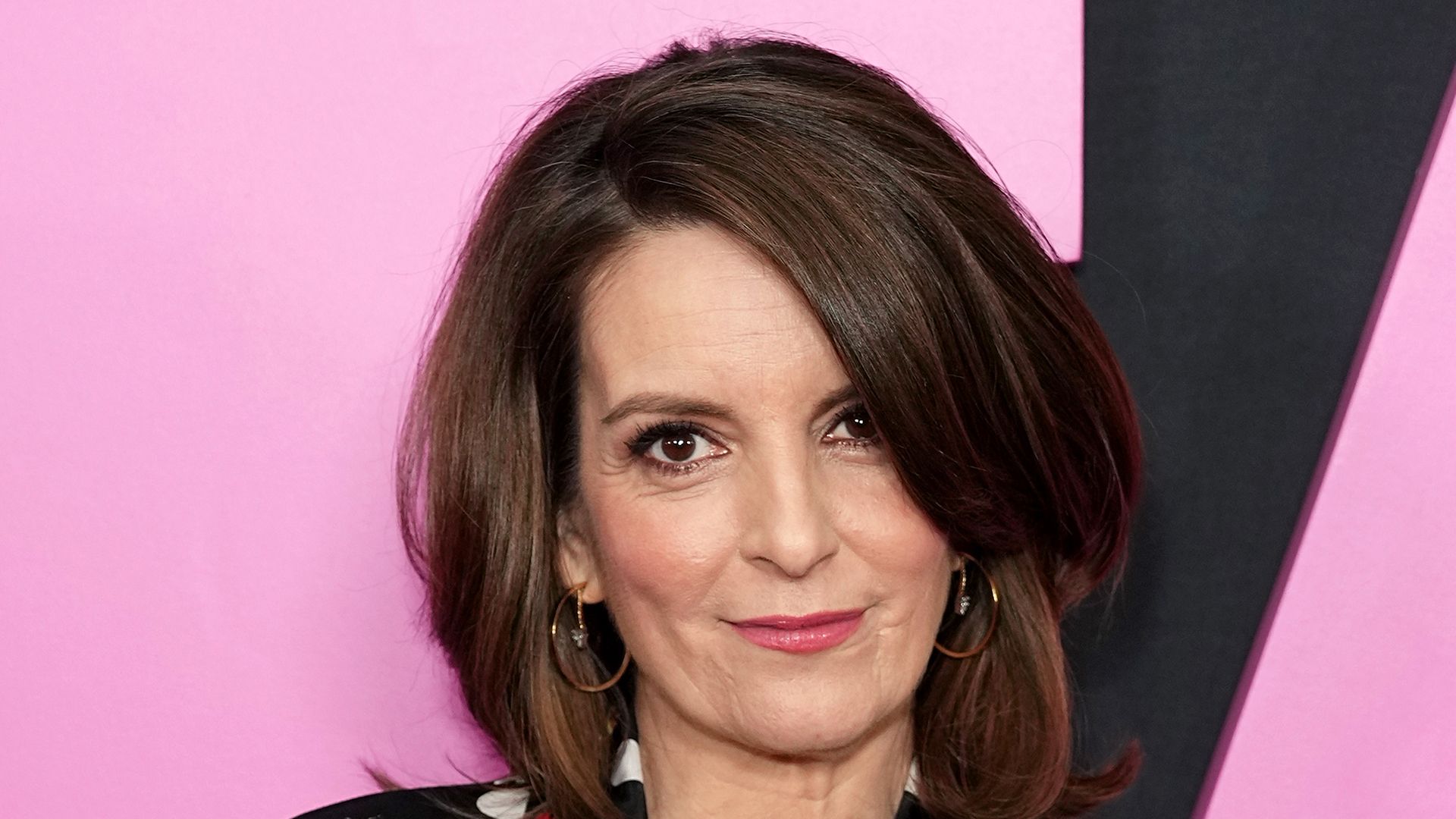 Tina Fey on creating Mean Girls: 'There were real Mean Girls back in my high-school days'