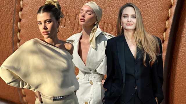 Meet the designer bag Sofia Richie, Elsa Hosk and Angelina Jolie can't get enough of this season