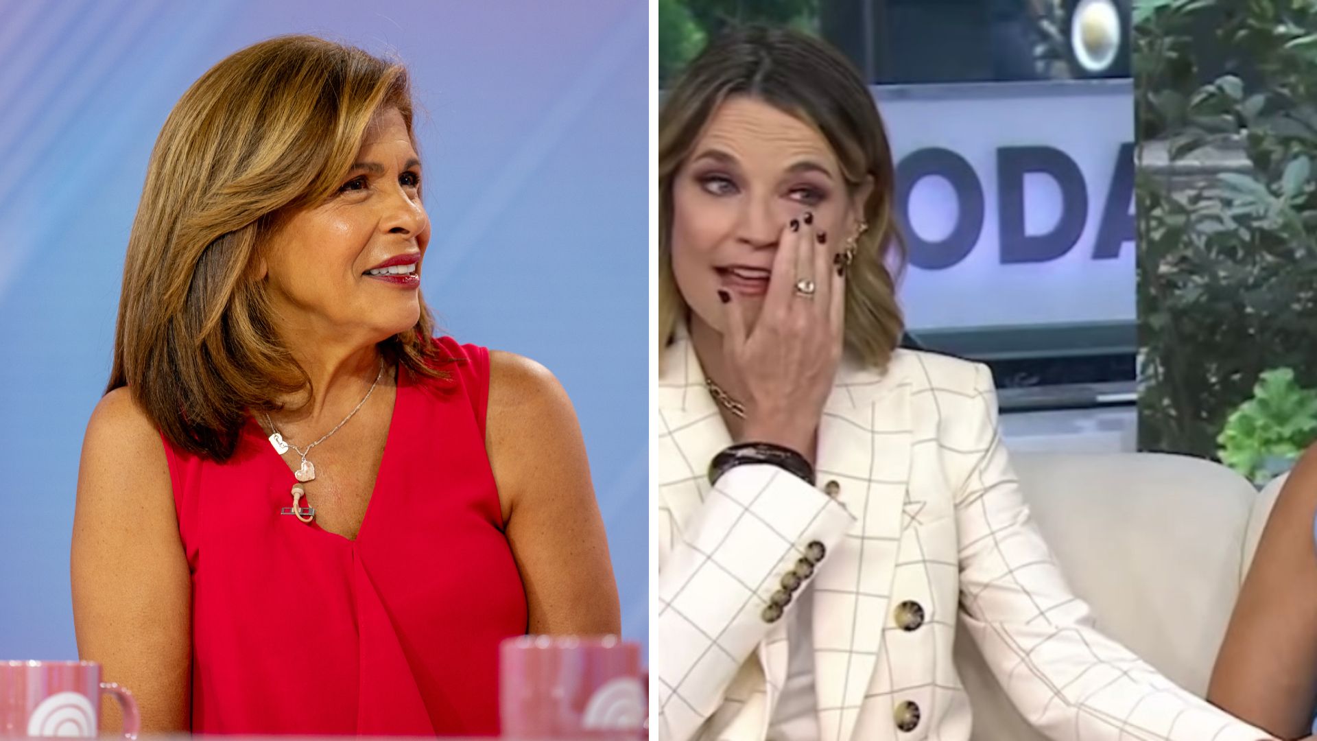 Savannah Guthrie gets choked up as she reacts to Hoda Kotb's Today Show departure: 'It's complicated'