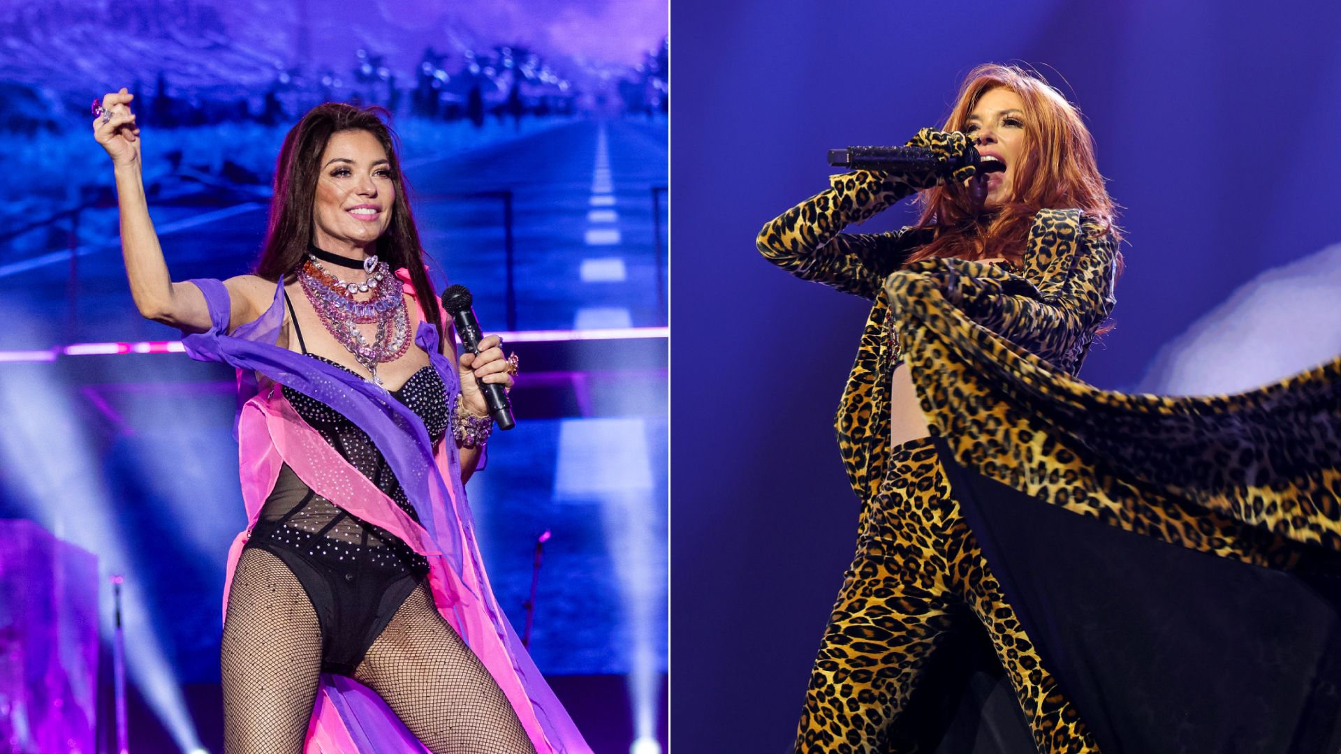 Shania Twain's wildest tour looks in photos From abbaring leopard